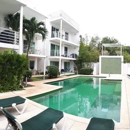 B&B Pelicanos